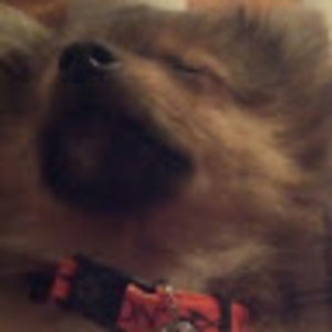 Meet your Posher, Kendra